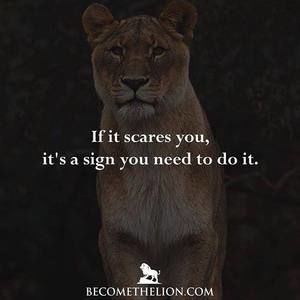 Meet your Posher, Ian